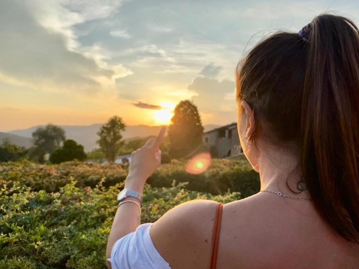 Agriturismo Le Case Assisi Eksteriør bilde