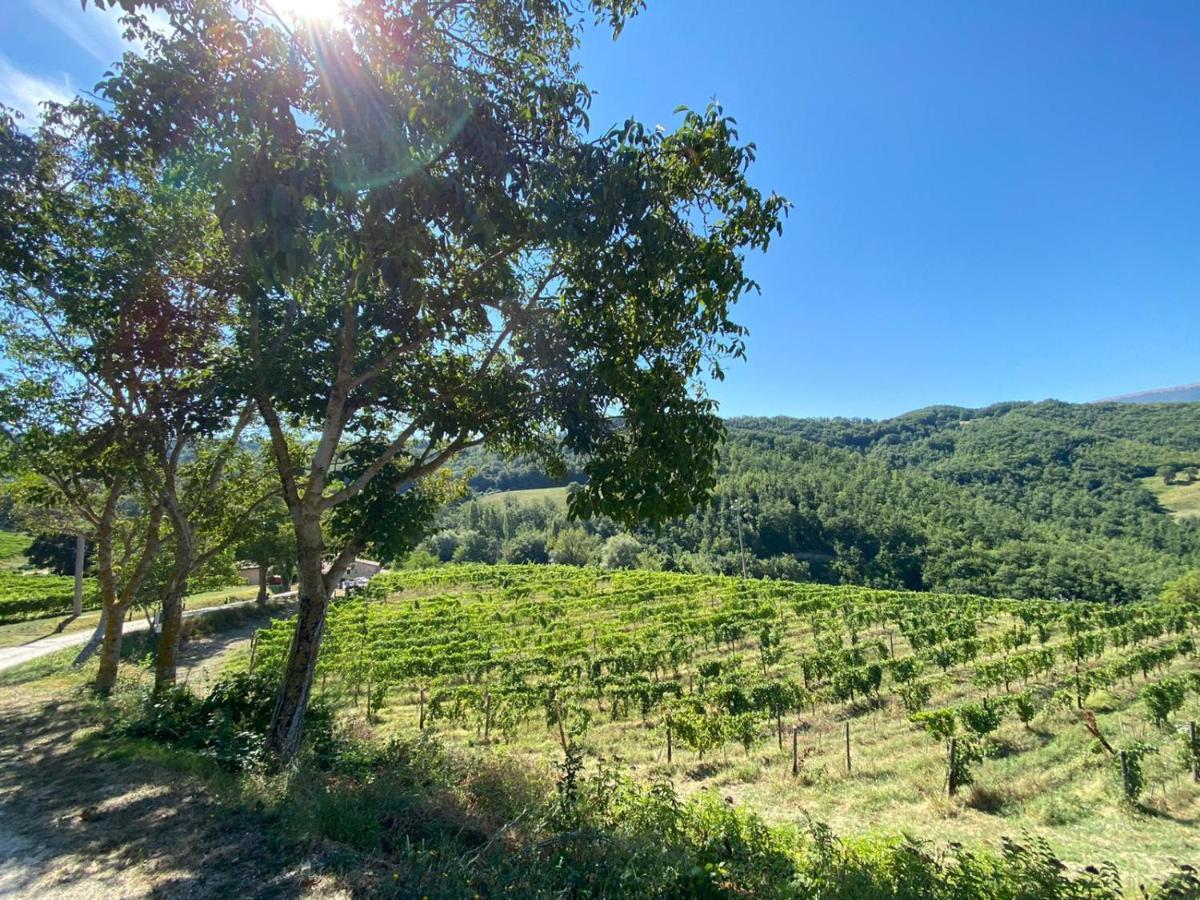 Agriturismo Le Case Assisi Eksteriør bilde