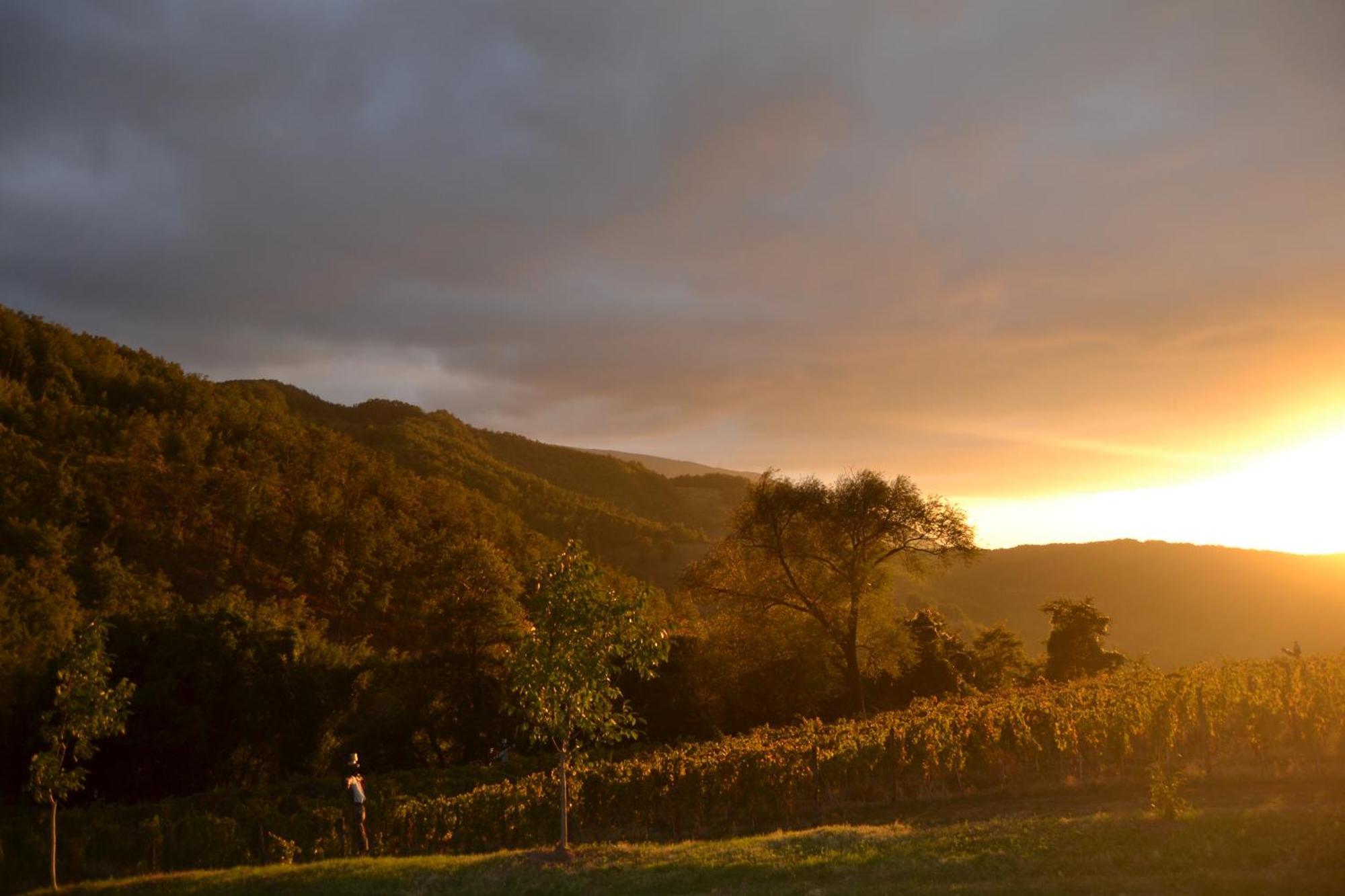 Agriturismo Le Case Assisi Eksteriør bilde