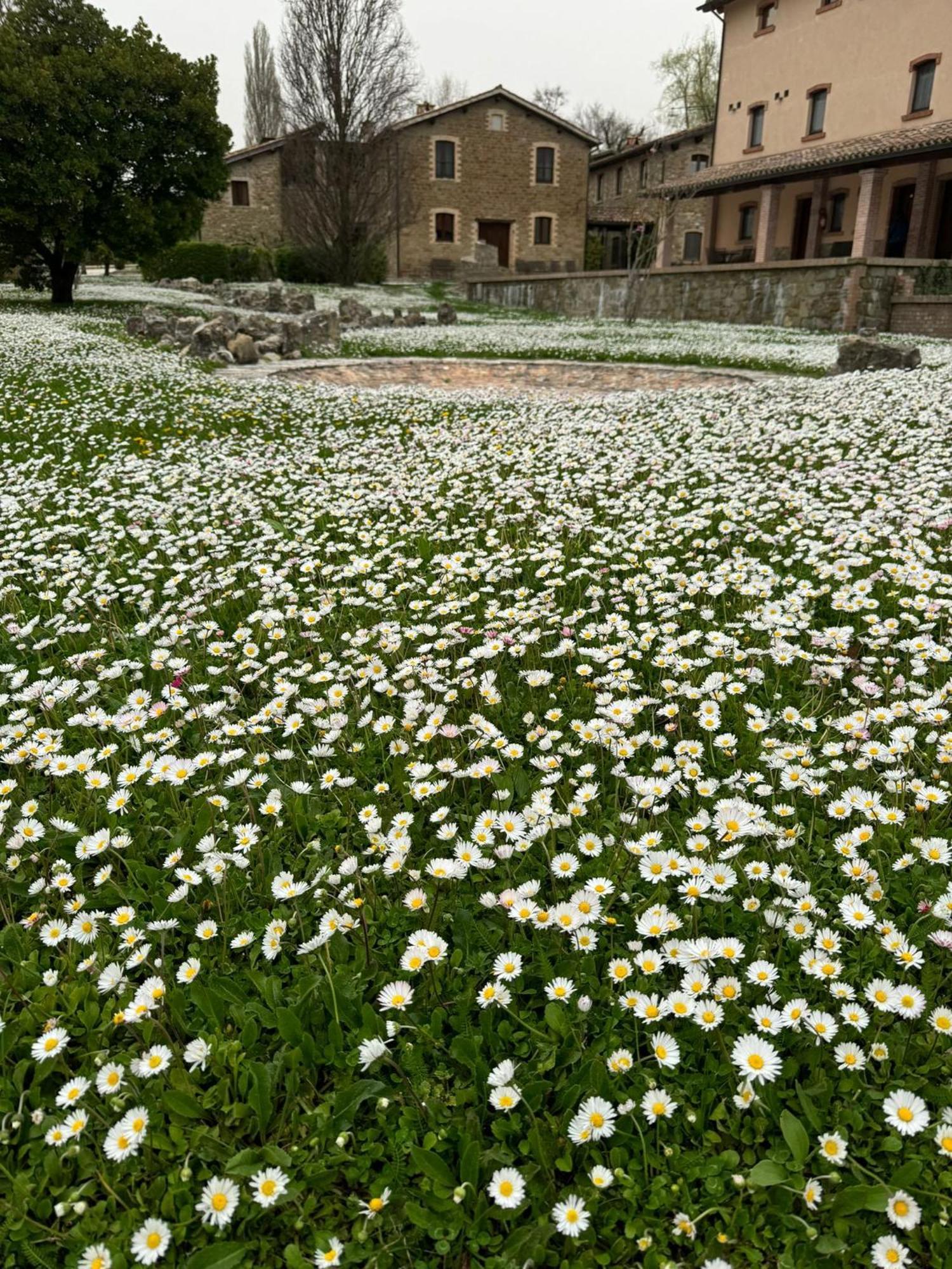 Agriturismo Le Case Assisi Eksteriør bilde