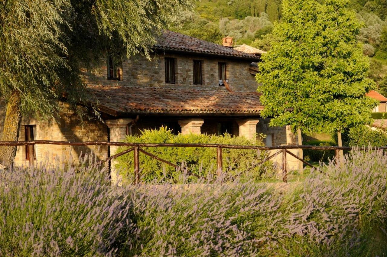 Agriturismo Le Case Villa Assisi Eksteriør bilde